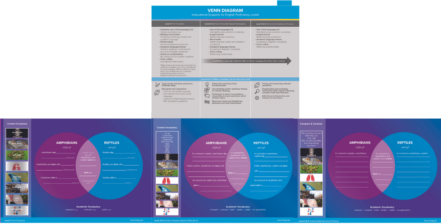 Differentiating Instruction for EL/MLs Flipbook: Volume 1 (Graphic Organizers)