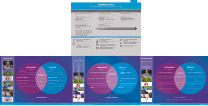 Differentiating Instruction for EL/MLs Flipbook: Volume 1 (Graphic Organizers)